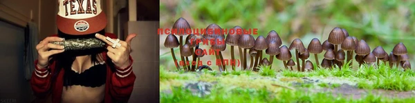марки lsd Горнозаводск
