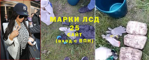гидра Вязьма
