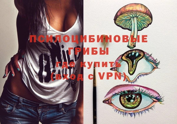меф Горняк