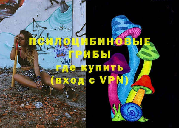 МДПВ Гусев