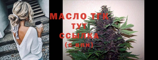МДПВ Гусев