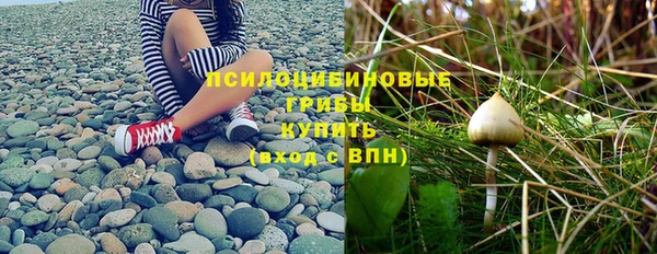 первитин Горно-Алтайск