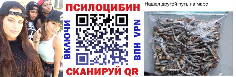 mega онион  Дальнегорск  Псилоцибиновые грибы Psilocybe 